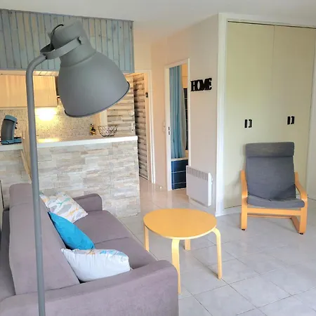 Grand 4 Personnes Clim Tres Bien Situe Agde