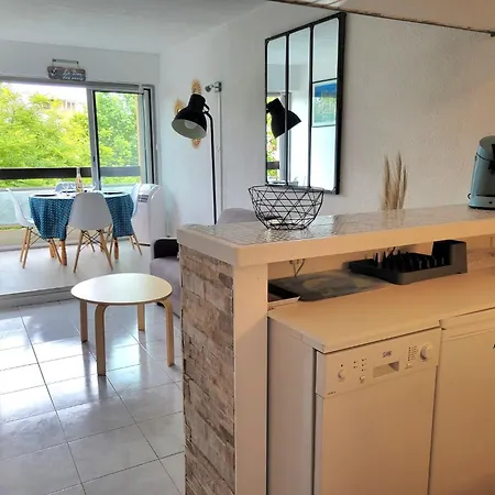 Grand 4 Personnes Clim Tres Bien Situe Apartment Agde