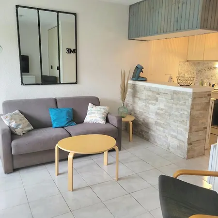 Grand 4 Personnes Clim Tres Bien Situe Apartment Agde