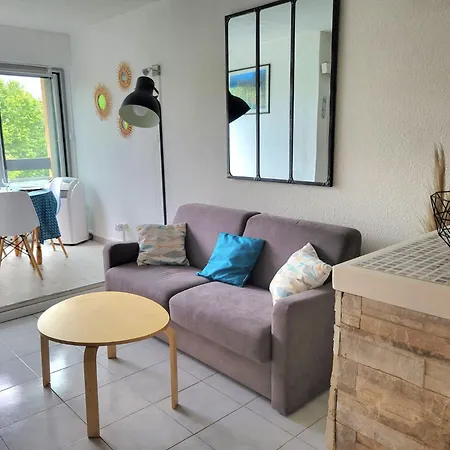 Apartment Grand 4 Personnes Clim Tres Bien Situe Agde