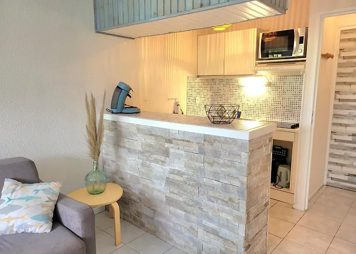 Apartman Grand 4 Personnes Clim Tres Bien Situe Agde