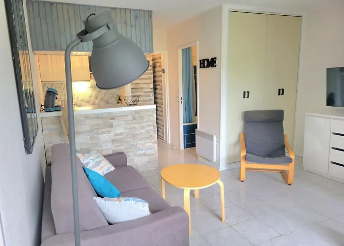 Grand 4 Personnes Clim Tres Bien Situe Agde