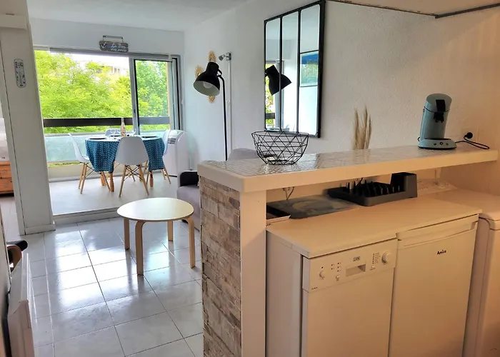 Grand 4 Personnes Clim Tres Bien Situe Apartman Agde