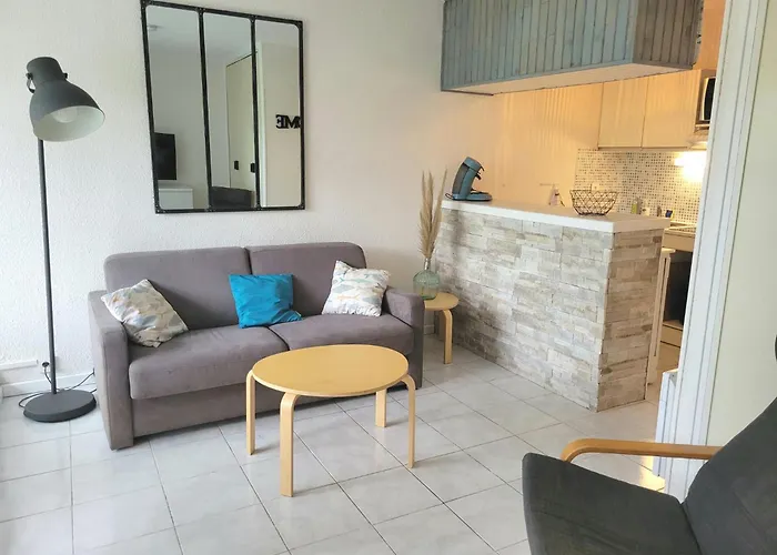 Grand 4 Personnes Clim Tres Bien Situe Apartman Agde